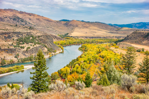 snake river in der nähe von swan valley idaho usa - snake river fotos stock-fotos und bilder