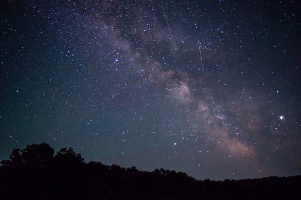istock Starry sky above the trees 1155750990