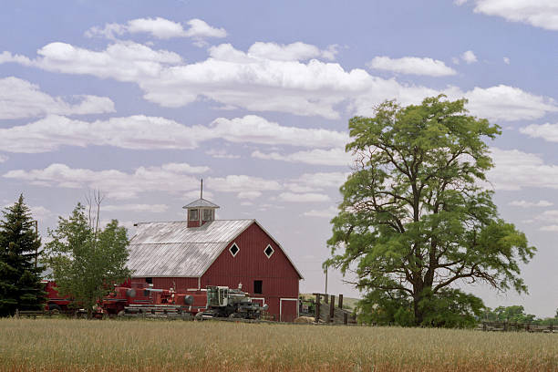 istock American Farmland 115575790
