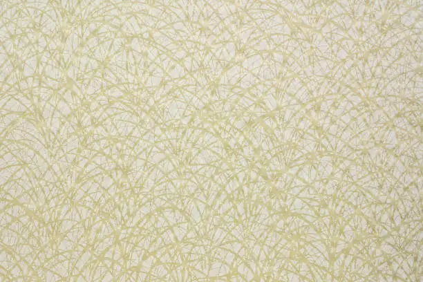 white linen paper with white grass pattern against color marbled mulberry paper