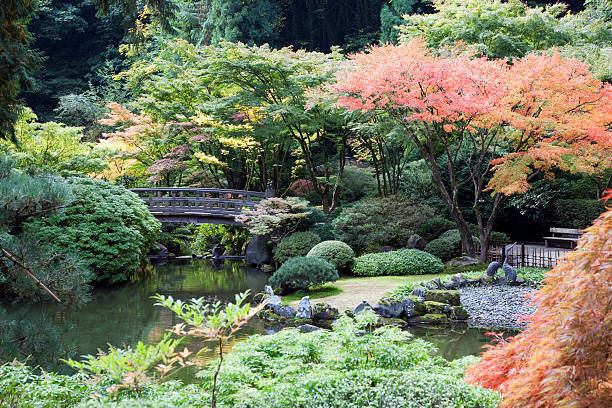 istock Japanese Garden 115576025