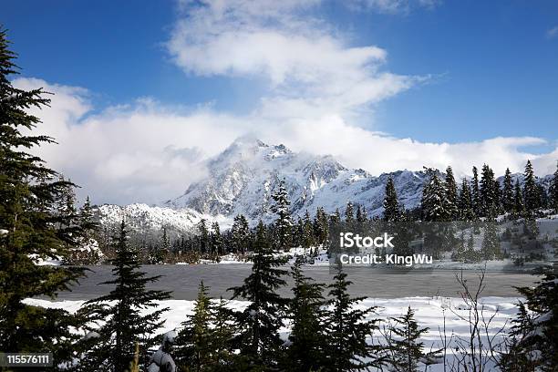 Photo libre de droit de Hiver Neige banque d'images et plus d'images libres de droit de Forêt Nationale - Forêt Nationale, Hiver, État de Washington