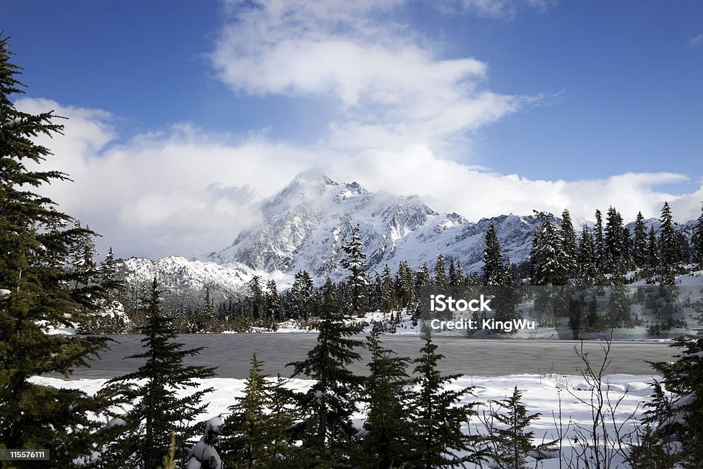 Winter neve - Foto de stock de Estado de Washington royalty-free