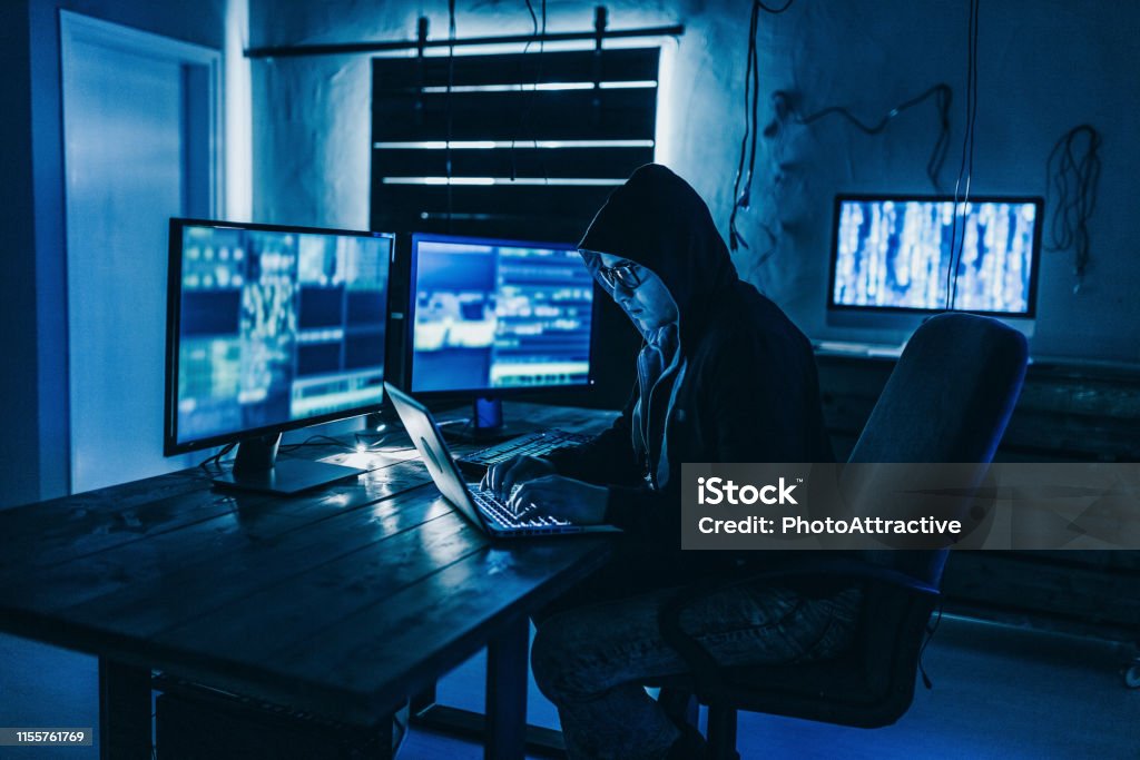Computer Programmer Stock Photo - Download Image Now - Adult, Adults ...