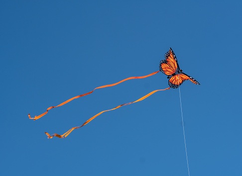 Bright orange monarch butterfly kite flys high on a windy spring day at kite festival.