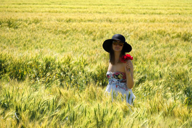 young adult beautiful woman in wheat field of rural landscape young adult beautiful woman on wheat field picking red poppy flowers on rural landscape in sunny day beautiful multi colored tranquil scene enjoyment stock pictures, royalty-free photos & images