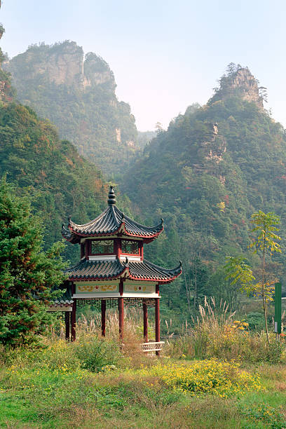 istock Zhangjiajie National park 115576761