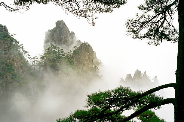 Beauty in Nature Mist rising in Huangshan national Park, Anhui Province, China. huangshan mountains stock pictures, royalty-free photos & images