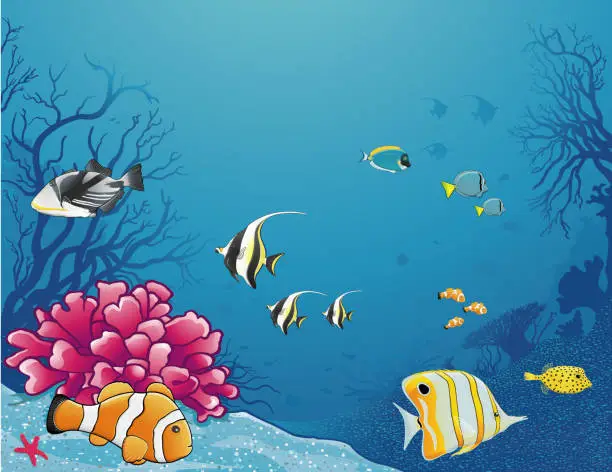 Vector illustration of Sea life/life under the sea