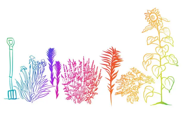 Vector illustration of Landscaping Plants Rainbow