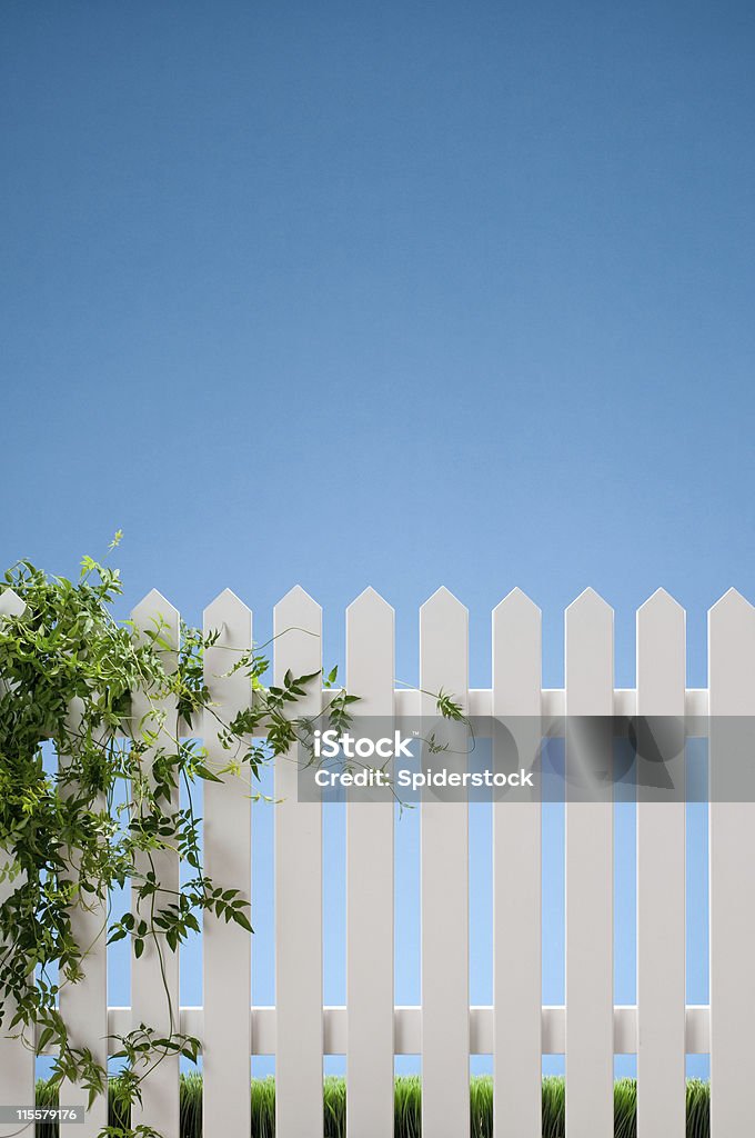 Blanco valla de piquete con Vines - Foto de stock de Ajardinado libre de derechos