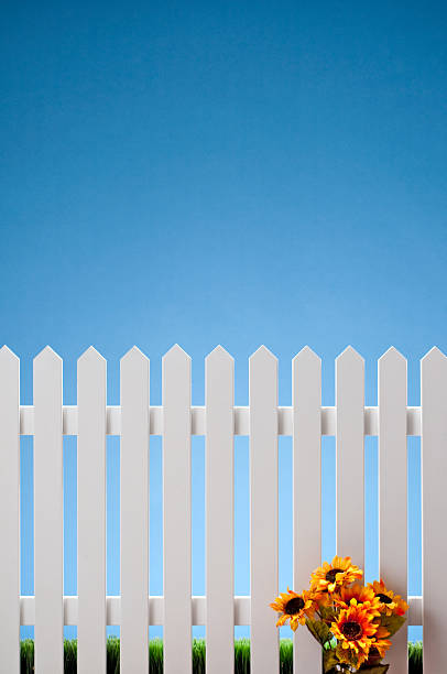 istock White Picket Fence With Flowers 115579180