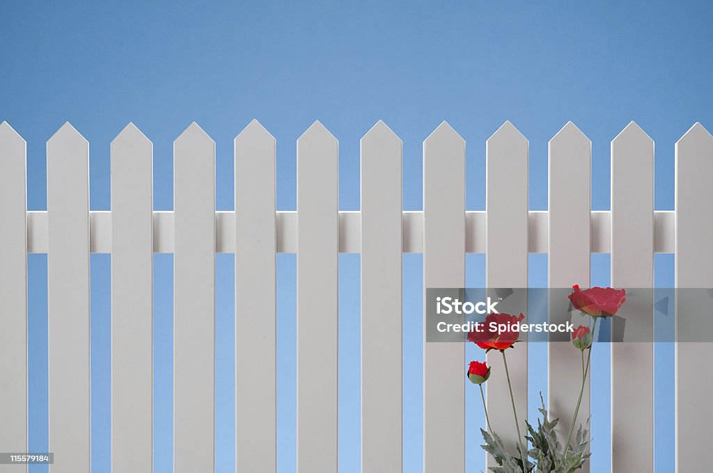 Palissade avec des fleurs blanches - Photo de Blanc libre de droits