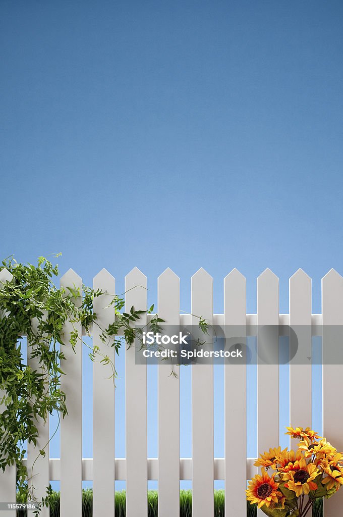 Bianco Steccato con fiori e viti - Foto stock royalty-free di Bianco