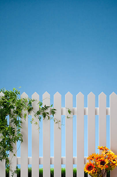 istock White Picket Fence With Vines And Flowers 115579186