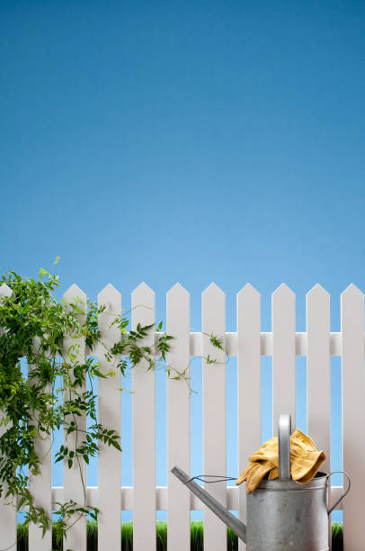 Metal watering can and and gardening gloves with white picket fence. The fence has a jasmine vine and is against a blue sky with grass in the bottom.