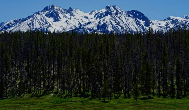 idaho es sawtooth wilderness - sawtooth national recreation area stock-fotos und bilder