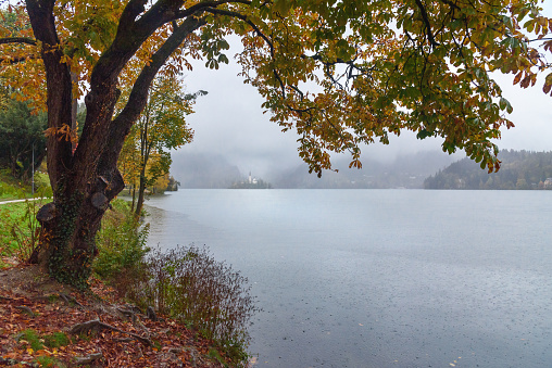 View of Lake Bled on rainy day in autumn. Slovenia