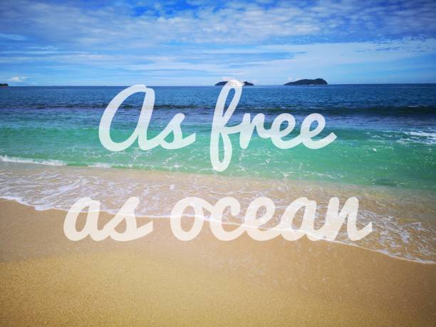 istock Ocean quote with a ocean view background. 1155804689