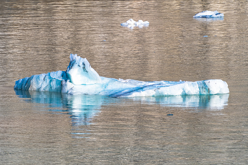 Ice/ icebergs broken from glaciers floating in the tidewater basin inlet of Glacier Bay National Park and Preserve, Alaska