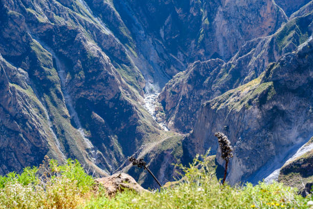 istock Ravine of the Colca Canyon 1155808292