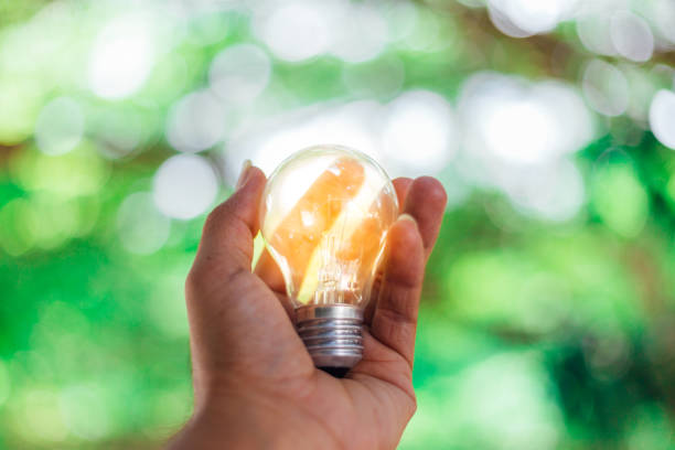 istock Hand holding light bulbs on nature green background. 1155808827