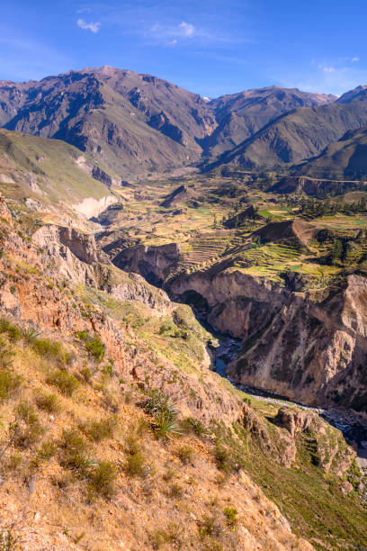 istock Stepped terraces in Colca Canyon in Peru 1155809003