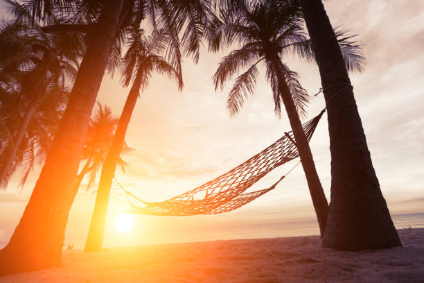 istock silhouette of hammock at sunset on the beach 1155809189