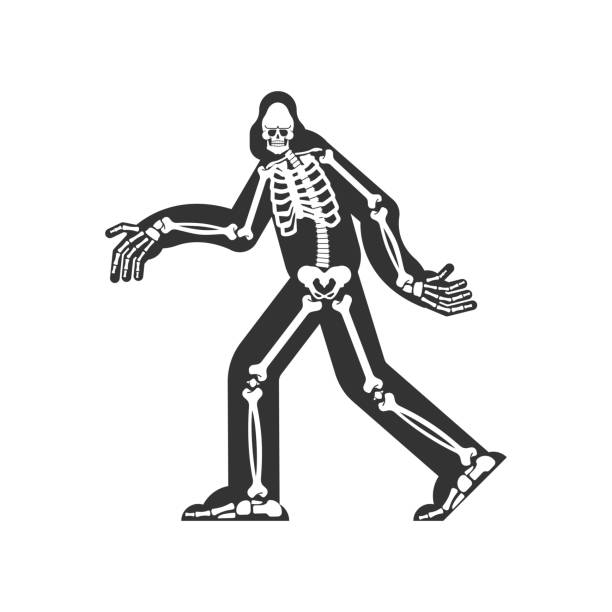 istock Bigfoot skeleton islated. sasquatch skull and bones. Abominable snowman. sasquatch Remains 1155813184