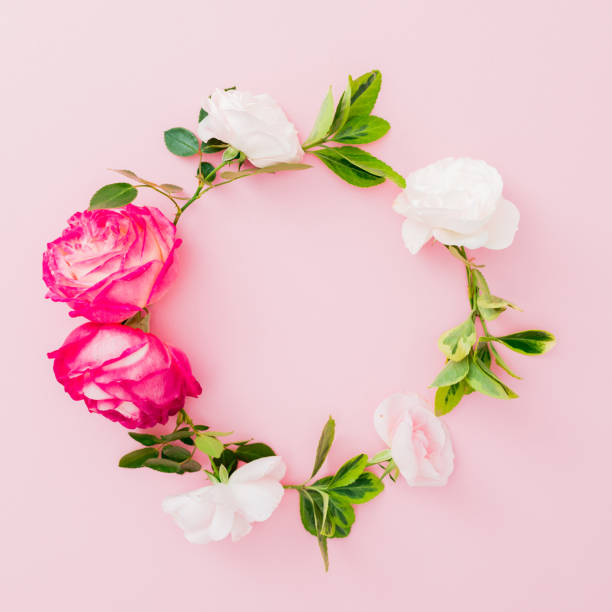 istock Wreath floral frame with roses flowers on pink background. Flat lay, top view. 1155814172