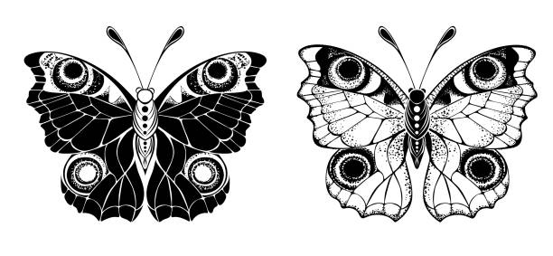 Two butterflies peacock Two stylized, artistic, monochrome, peacock butterflies on white background. Design element. butterfly tattoo stencil stock illustrations