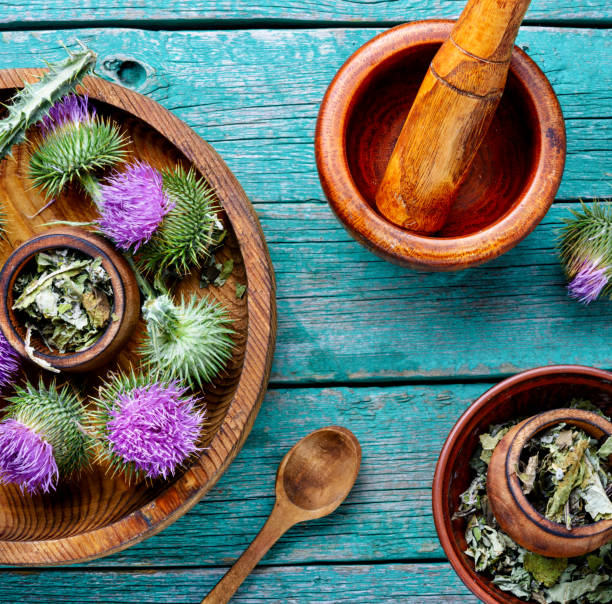 Herbal medicine and homeopathy stock photo