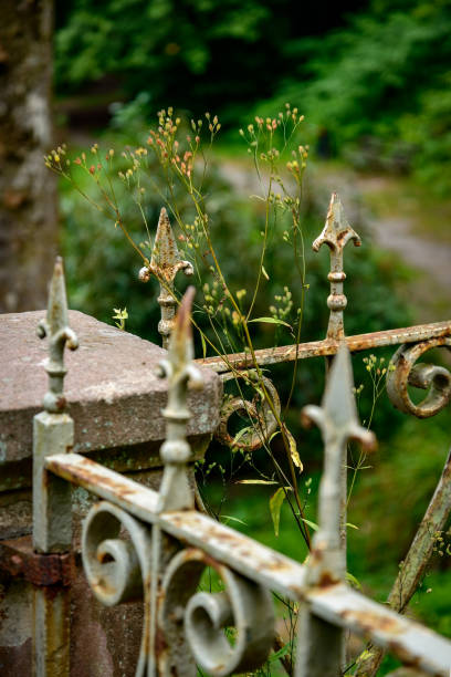 Rusty decorated fence at the listed Heidelberg 