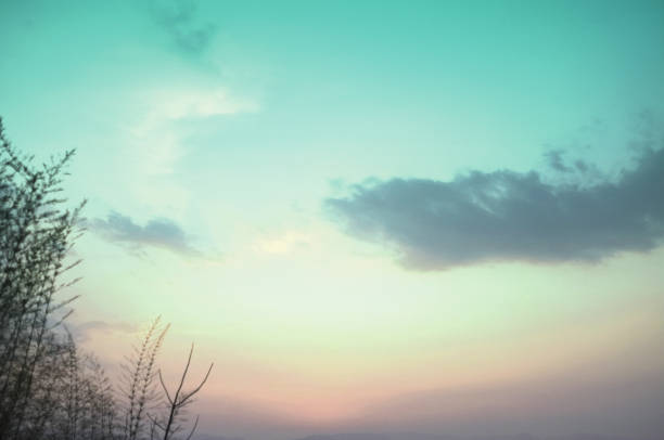Beautiful environment of  beautiful sunset on Khuean Srinagarindra National Park at Kanchanaburi , Thailand and sky for travel in holiday relax time