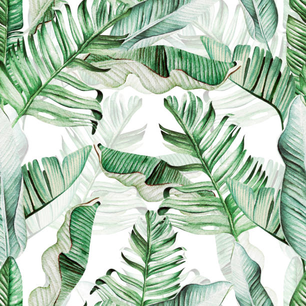 istock Beautiful watercolor seamless pattern with tropical leaves and banana leaves. 1155833588