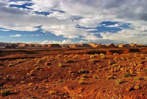 istock Desert landscape in New Mexico 1155834778