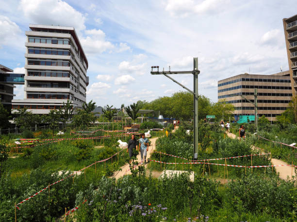 Rotterdam, Netherlands - June, 2, 2019; Roof garden teh Hofbogen in the center of Rotterdam is a garden build on the perron and railway of an old station building. People walking through the garden.