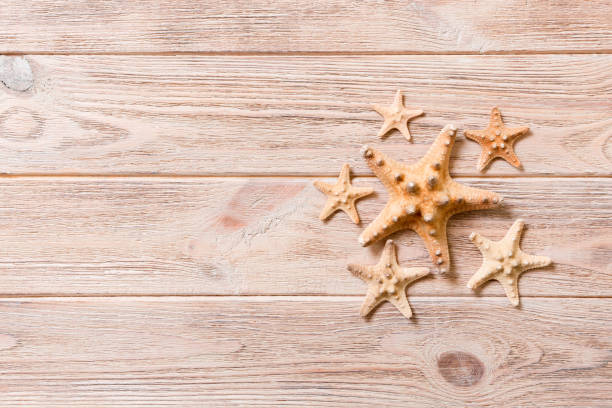 istock Starfish, seashells on a wooden table, top view, flat lay with copy space 1155841270