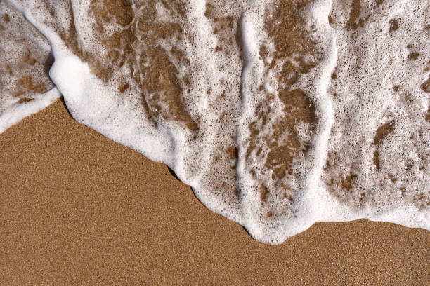 istock Wet sand and sea foam background 1155842660
