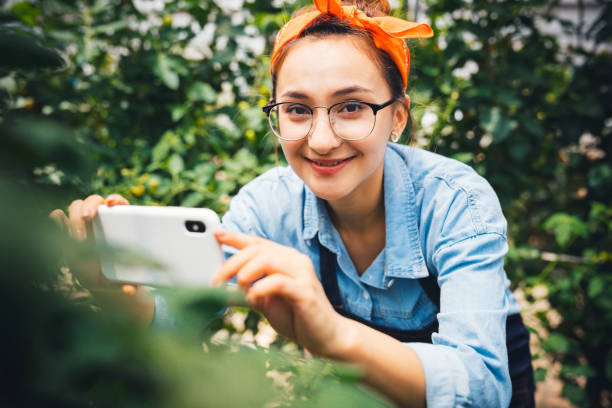 fazendeiro fêmea novo que usa o telefone esperto na exploração agrícola orgânica - smart casual occupation casual healthy eating - fotografias e filmes do acervo