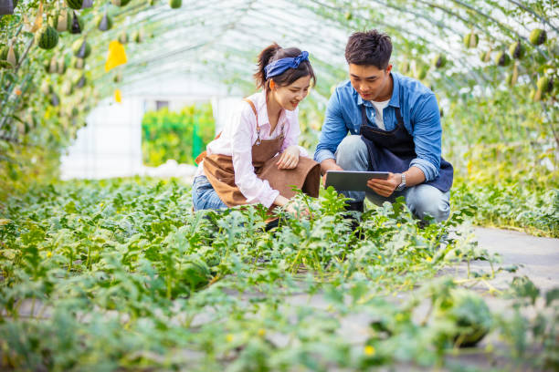 istock Two young Asian people working together with digital tablet in organic farm 1155846670