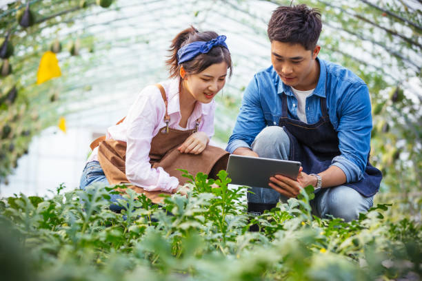 istock Two young Asian people working together with digital tablet in organic farm 1155846728