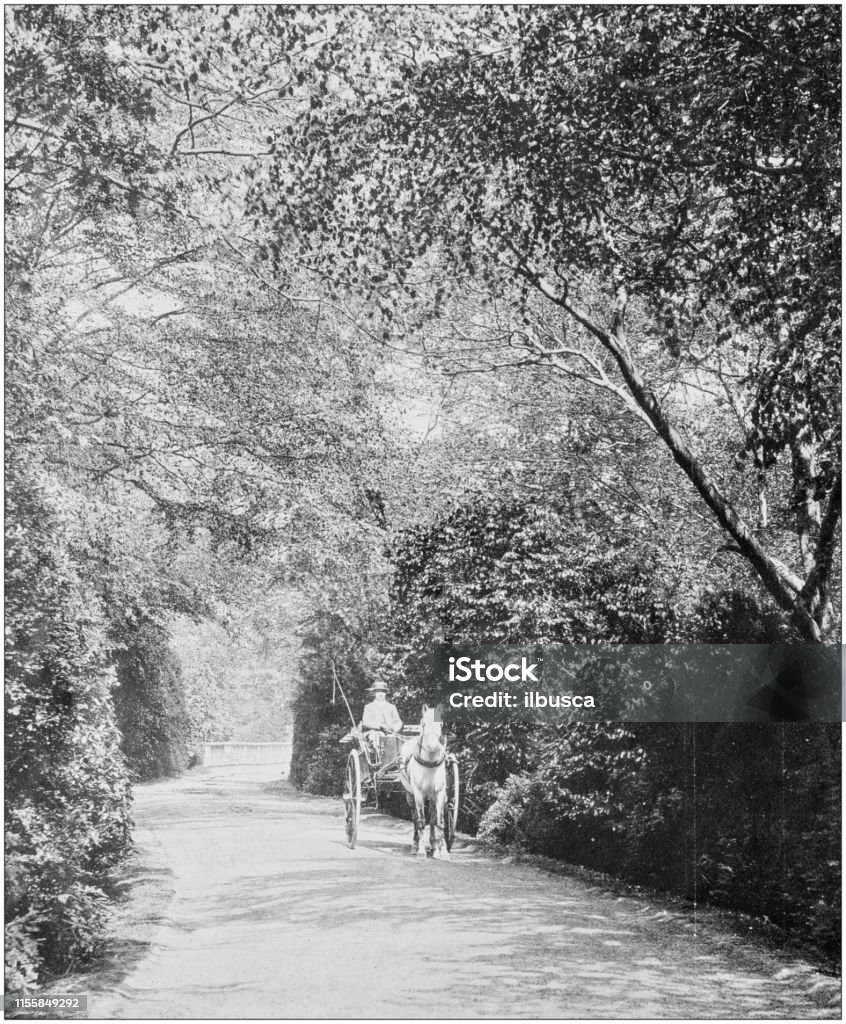 Antique Vintage noir et blanc photo: campagne Britannique - Illustration de Adulte libre de droits