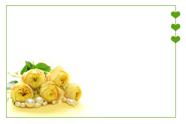 frame of yellow roses bouquet