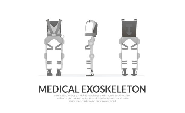 Exosceleton Drawing 1,400+ Exoskeleton Medical Stock Illustrations, Royalty-Free Vector ...