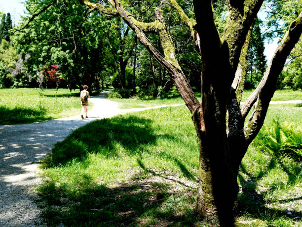 istock Woman walking in the park 1155851563