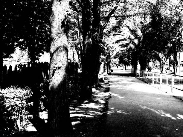 Path to one of the familiar pantheons of Milan´s Monumental Cemetery with giant trees framing the way to this final resting place.