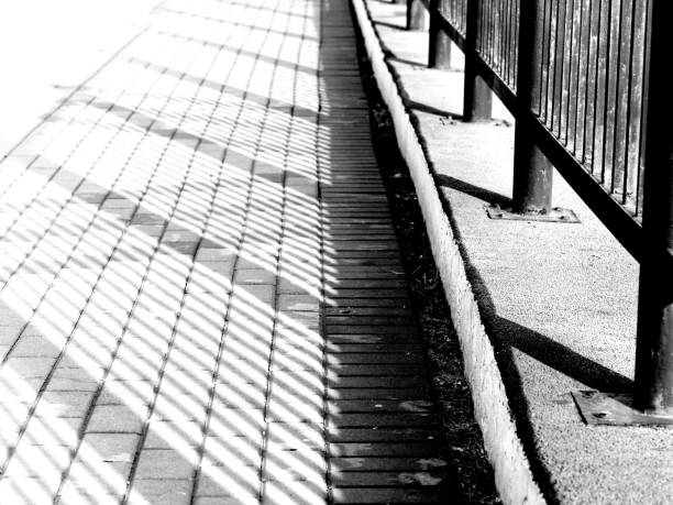 istock Shadow of the fence 1155851811