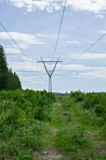istock High-voltage electric pole on the background of forest and sky. 1155853040