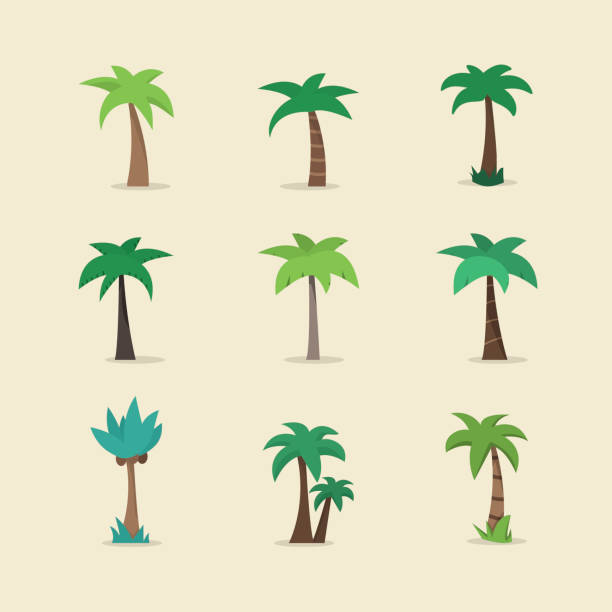 illustrations, cliparts, dessins animés et icônes de icône d’arbre de palmier vectoriel - leaf black background line art nature